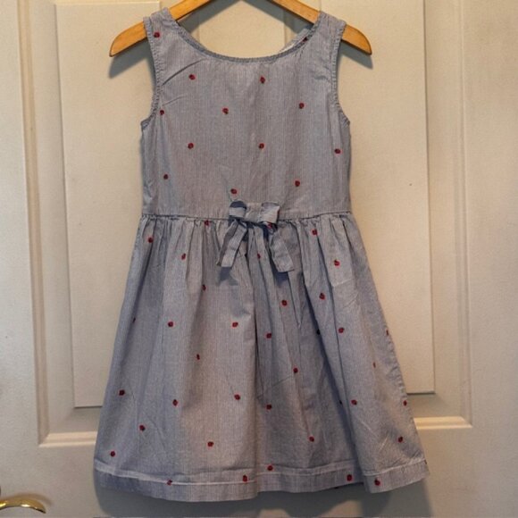 H&M Other - H&M Blue Pinstripe Strawberry Dress sz 7/8